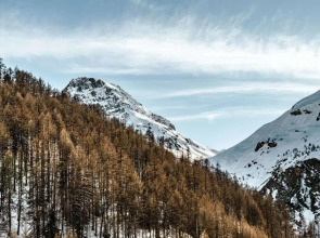 Experimental Chalet Val d'Isère