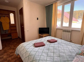 Кедр Золотой