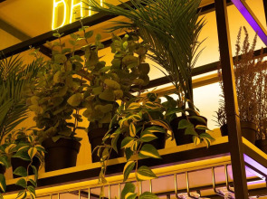 Petit Hostel Palacio Real