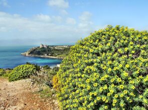 11 Ala Birdi Cottage 150m From The Beach