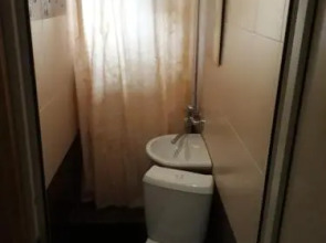 Авангард (адлер)