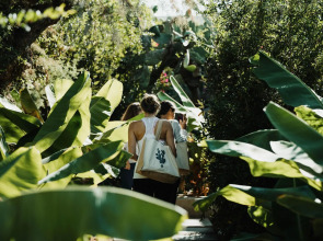 Phāea Cretan Malia, a Member of Design Hotels