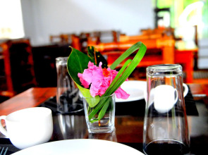 Oasis Resort and Spas