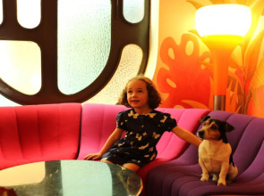 Hôtel la Résidence du Vieux Port