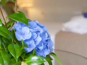 Sao Miguel Park Hotel