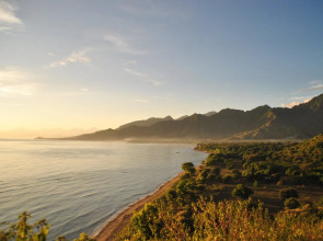 Tiara Homestay Pemuteran