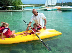 Tropical Attitude - Adults only