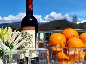 Гостевой дом Петрович