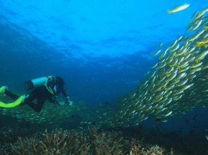 The Taaras Beach & Spa Resort