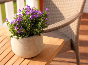 Strandhafer Aparthotel