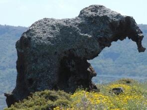 The Square Castelsardo