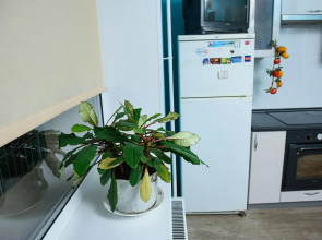 Апартаменты Турист на улице Оплеснина 41/1