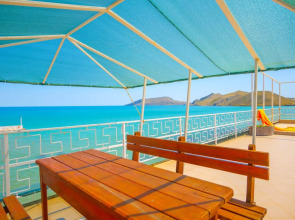 Эллинг у Зои