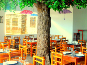 Oasis Resort and Spas