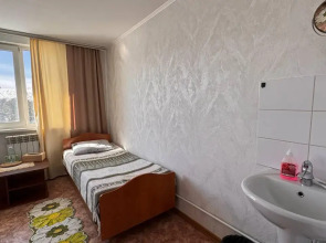 Кедр Золотой