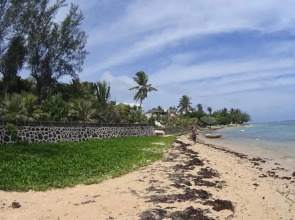 Allamanda Studios and Apartments