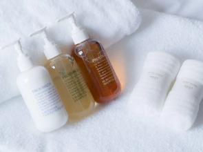 Nest Hotel Tokyo Hanzomon