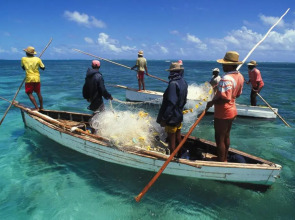 Cocotiers Hotel - Rodrigues