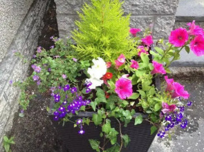 Rosehill Guest House