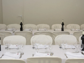 Hotel Rainha D. Amelia, Arts & Leisure