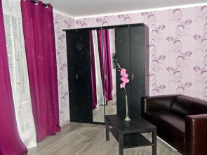 Apartment Hanaka on Zhigulevskaya 14