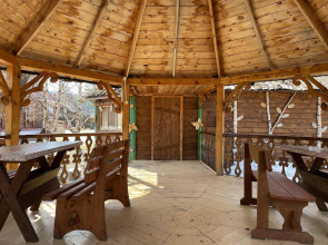 Золотая рыбка