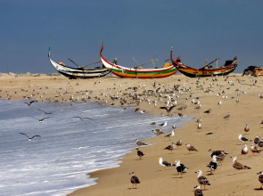 Hotel Apartamento Solverde