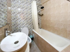 Отель Asia Mountains