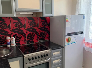 Уютный дом на Проспекте Победы 31