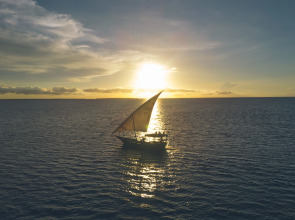 Gold Zanzibar Beach House & Spa