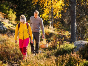 Break Sokos Hotel Koli