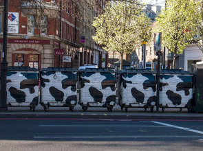 The Dictionary Hostel