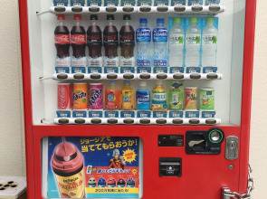 Mt Fuji Hostel Michael's