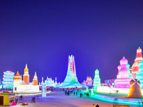 Sheraton Harbin Xiangfang Hotel