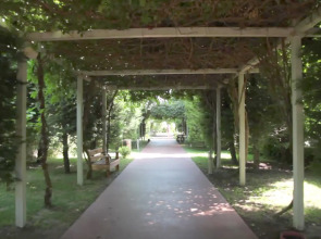 Saturn Palace Resort 