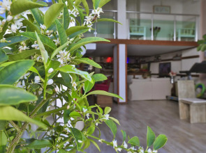 Отель Sonne - Adults Only