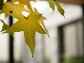 Three Crowns Hotel Prague