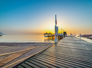 Gypsophila Club Marine