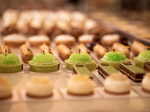 Brach Paris - Evok Collection