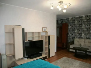 Барбарис на улице Парижской Коммуны 50