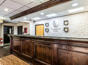 Comfort Inn Detroit Downtown