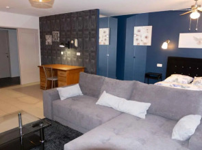 Renovated Apartment in Antwerp