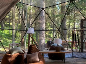 Вили Улей Карелия