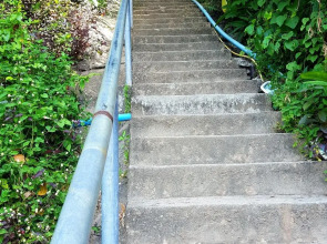 Phi Phi Arboreal Resort