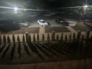 Арт (Цандрипш)