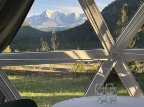 Зелёный колобок