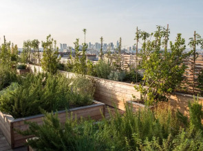 Brach Paris - Evok Collection