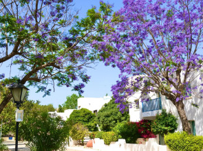 Paphos Gardens Holiday Resort