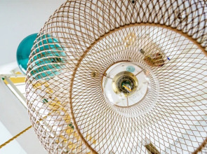 Italianway - Palazzo Nouveau - Floralia