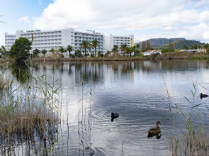 Eix Lagotel Holiday Resort